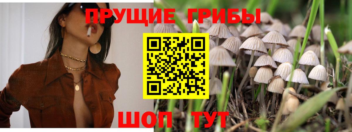 Галлюциногенные грибы GOLDEN TEACHER Лянтор