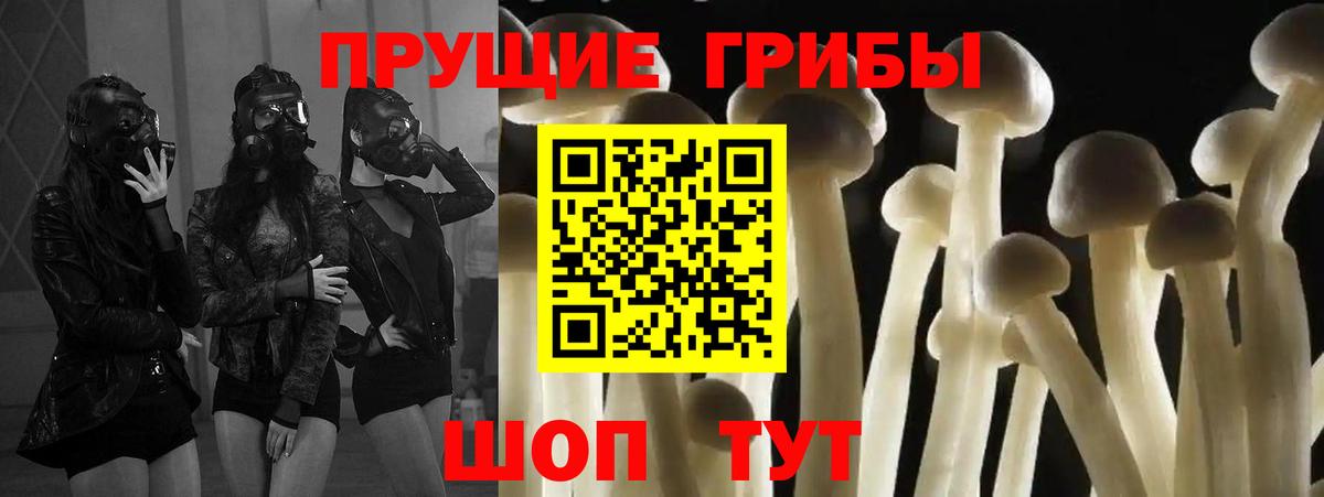 Галлюциногенные грибы Psilocybe  Вход с VPN  Лянтор  Галлюциногенные грибы ЛСД 